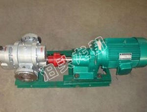 LC型不銹鋼羅茨泵